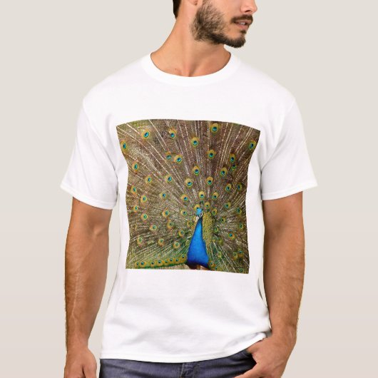 T-shirt Plumes de queue de paon (Devant)
