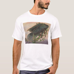 T-shirt Poisson - Jack Dempsey - Archocentrus octofasciatu
