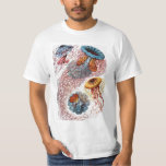 T-shirt Poisson vintage par Ernst Haeckel, Discomedusae<br><div class="desc">Illustration vintage conception biologique de la vie marine par Ernst Haeckel. Une variété d'animaux méduses colorés nageant dans les eaux de la mer. Les méduses sont des animaux aquatiques nageant librement avec un corps en forme de parapluie et de longues tentacules. On les trouve dans tous les océans et dans...</div>