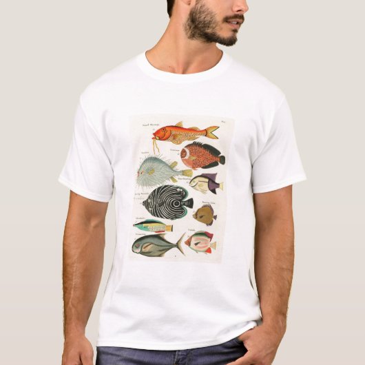 T-shirt Poissons (Devant)