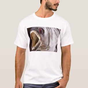 T-shirt Poissons de piranha comme le trophée sur le bois