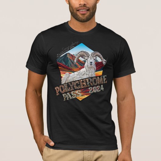 T-shirt polychrome Bella+Canvas noir (Devant)