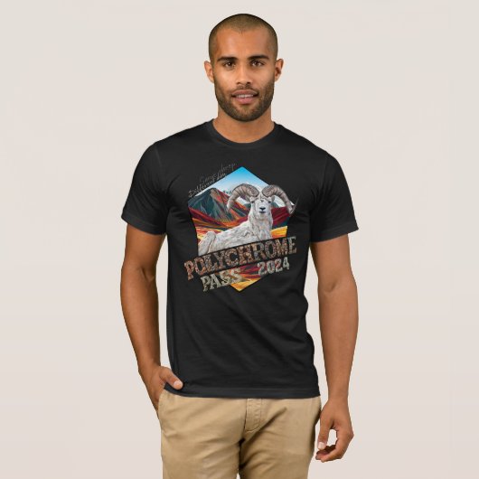 T-shirt polychrome Bella+Canvas noir (Devant entier)
