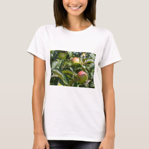 T-shirt Pommes mûrissant sur un pommier