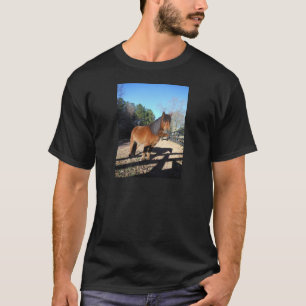T-shirt Poney brun ciel turquoise