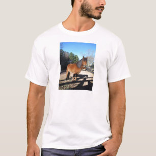T-shirt Poney brun ciel turquoise