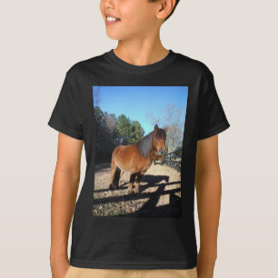 T-shirt Poney brun ciel turquoise