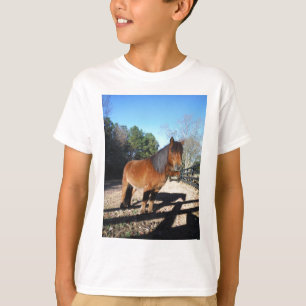 T-shirt Poney brun ciel turquoise
