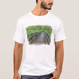 T-shirt pont en bois du sentier Maple Glade, fougères et