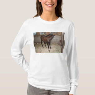T-shirt Pony/Cheval