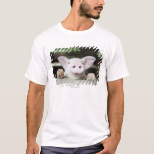 T-shirt Porc de bébé dans le stylo, porcelet