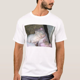 T-shirt Porcs de bébé