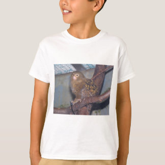 T-shirt Portrait d'ouistiti pygméen