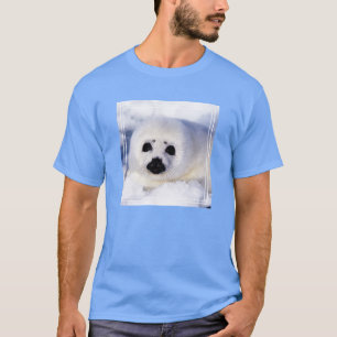 T-shirt Portrait d'une cuve de phoque de la harpe