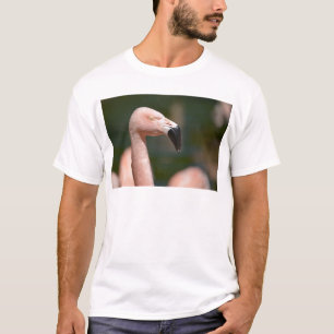 T-shirt Portrait flamingo