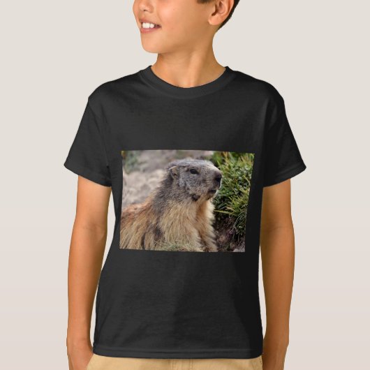 T-shirt Portrait Marmot alpin (Devant)