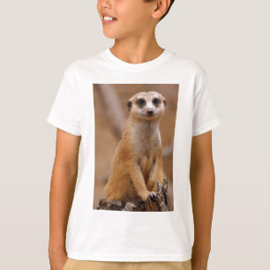 T-shirt Pose de Meerkat