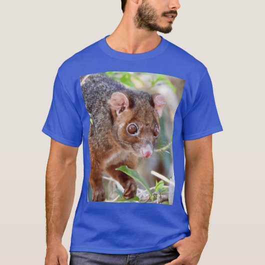 T-shirt Possum at Arkarra Lagoons caesium funny (Devant)