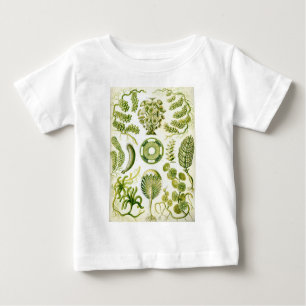 T-shirt Pour Bébé Algue et algues de Siphoneae d'Ernst Haeckel