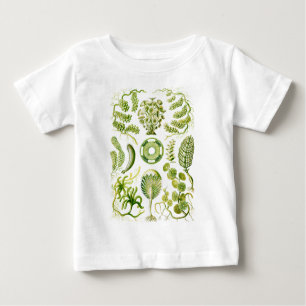 T-shirt Pour Bébé Algues vertes
