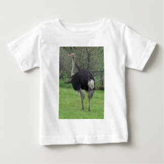 T-shirt Pour Bébé Autruche