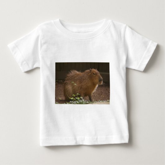 T-shirt Pour Bébé Capybara (Devant)