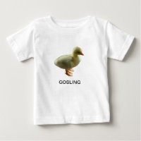 Chemise de Gosling