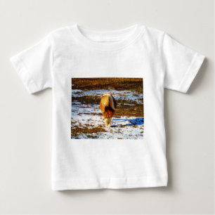 T-shirt Pour Bébé Cheval miniature Brown et crème dans la neige.