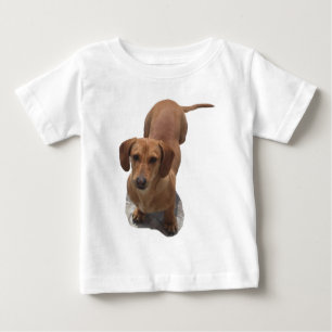 T-shirt Pour Bébé Chien Brown mignon Dachshund