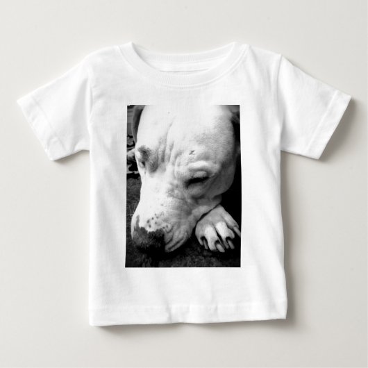 T-shirt Pour Bébé cicatrice de harry potter chien pit bull blanc (Devant)