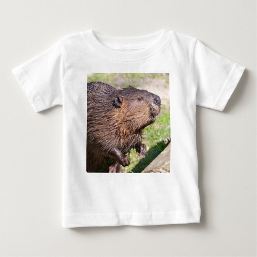 T-shirt Pour Bébé Closeup North American Beaver (Castor canadensis) (Devant)