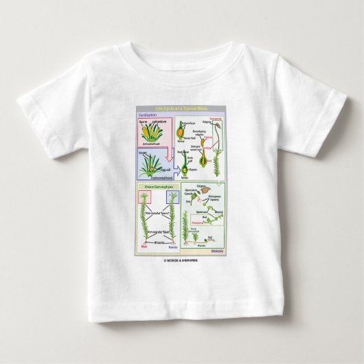 T-shirt Pour Bébé Cycle de vie d'une mousse typique (Bryophyte) (Devant)