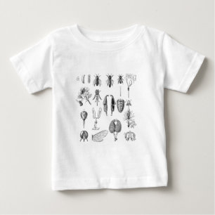 T-shirt Pour Bébé Diagramme des pièces d'insecte
