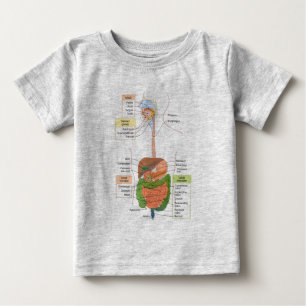 T-shirt Pour Bébé Diagramme Système digestif gastro-intestinal humai