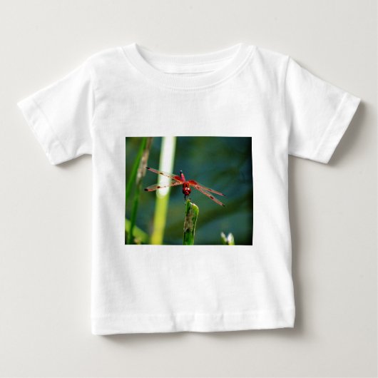 T-shirt Pour Bébé Dragonfly frontale rouge et noire (Devant)