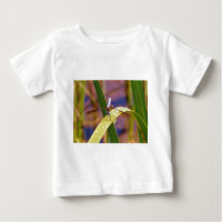 Dragonfly sur la feuille de pluie