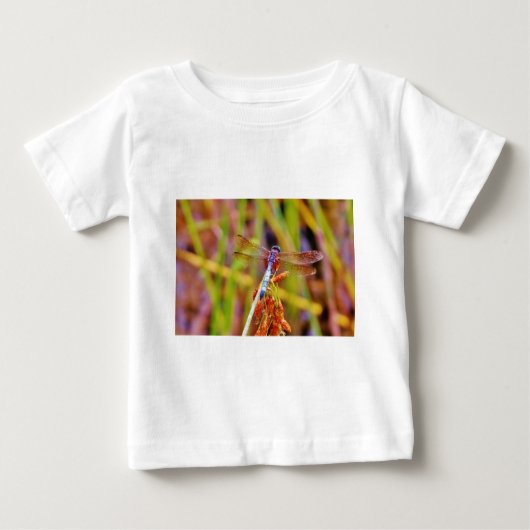 T-shirt Pour Bébé Dragonfly turquoise sur le carex (Devant)