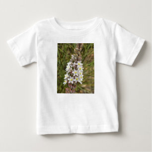 T-shirt Pour Bébé Drimia Maritima Ou L'Oignon Île