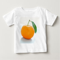 Fin orange de clémentine