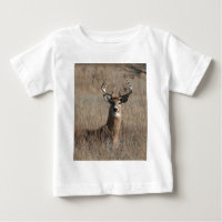 Grands cerfs communs de mâle de trophée dans
