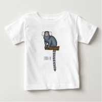Illustration marmoset commune