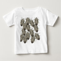 Insectes de puanteur stupéfiés