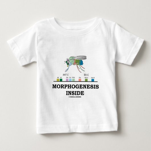 T-shirt Pour Bébé Intérieur de morphogénèse (gènes de drosophile de (Devant)