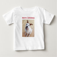 Joli sourire renne Chien chiot Noël