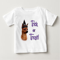 Miniature Pinscher Trick