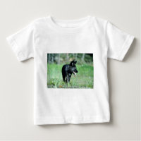 Petit animal gris de Loup-été (noir-phase)