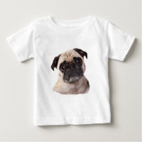 petit chien mignon de carlin