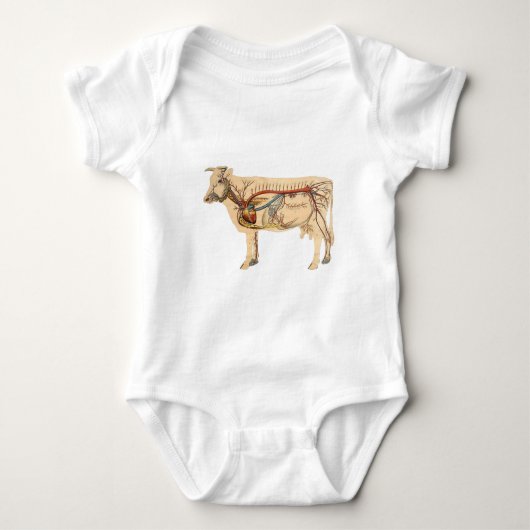 T-shirt Pour Bébé Vache mûre anatomique (Devant)