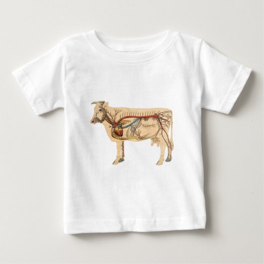 T-shirt Pour Bébé Vache mûre anatomique (Devant)