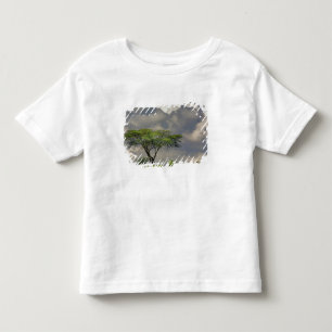 T-shirt Pour Les Tous Petits Acacia tortilis, Acacia tortilis, et 2